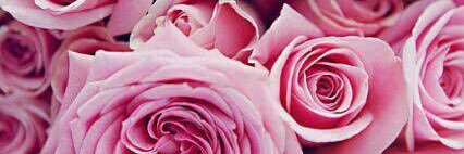 mar140515's profile banner image
