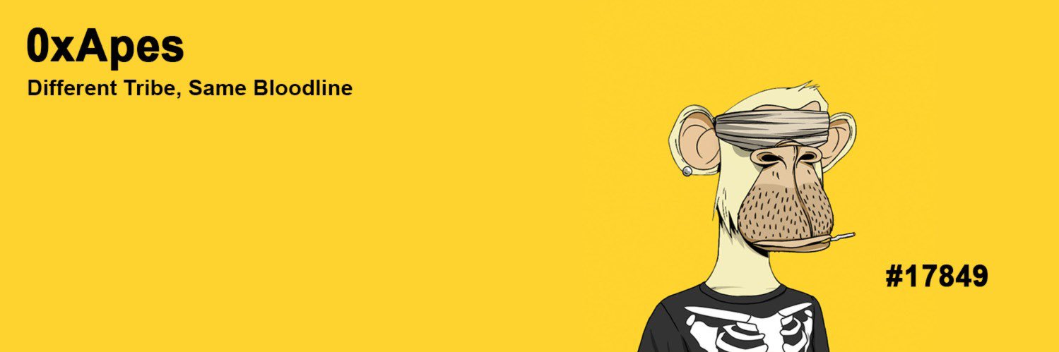 KBKing21's profile banner image