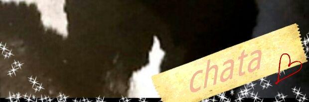 chata@千年魔女 banner