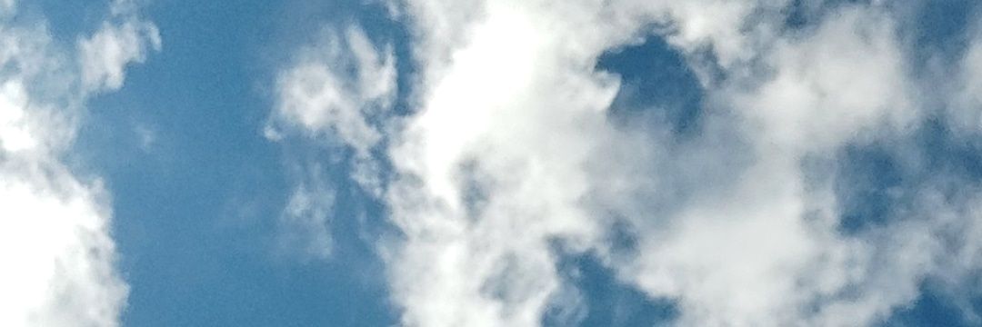 oihanee3's profile banner image