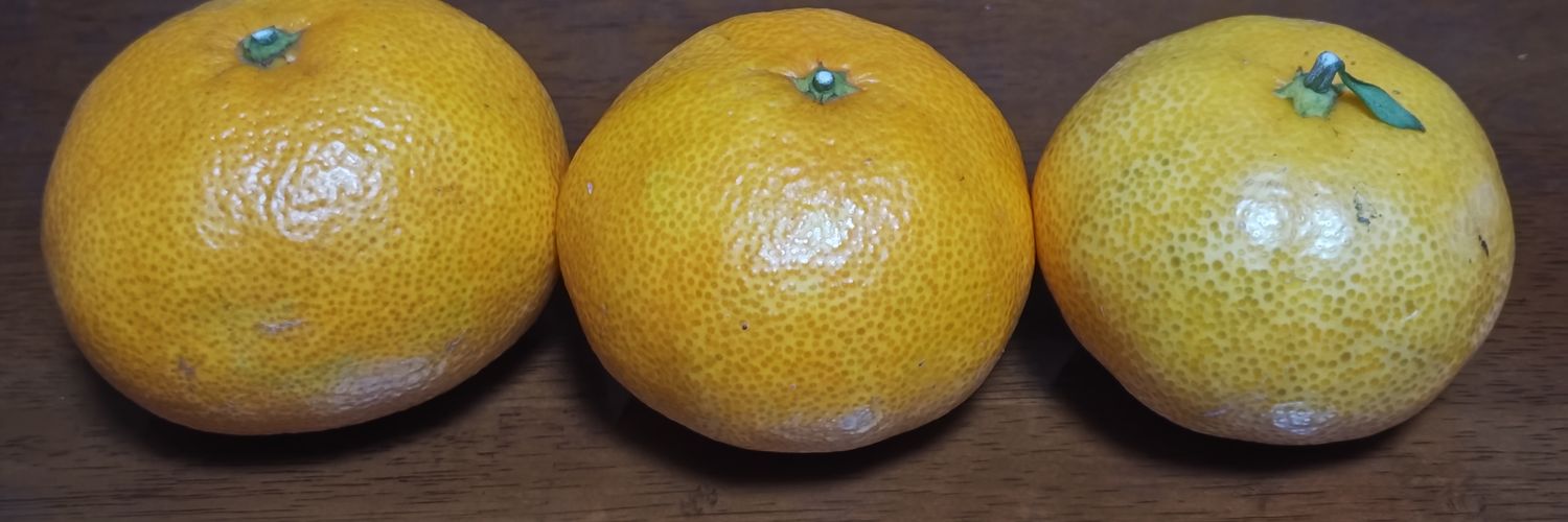 しぃな けぃ🍊🍒♂️ banner