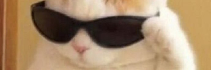 Nicaz_'s profile banner image
