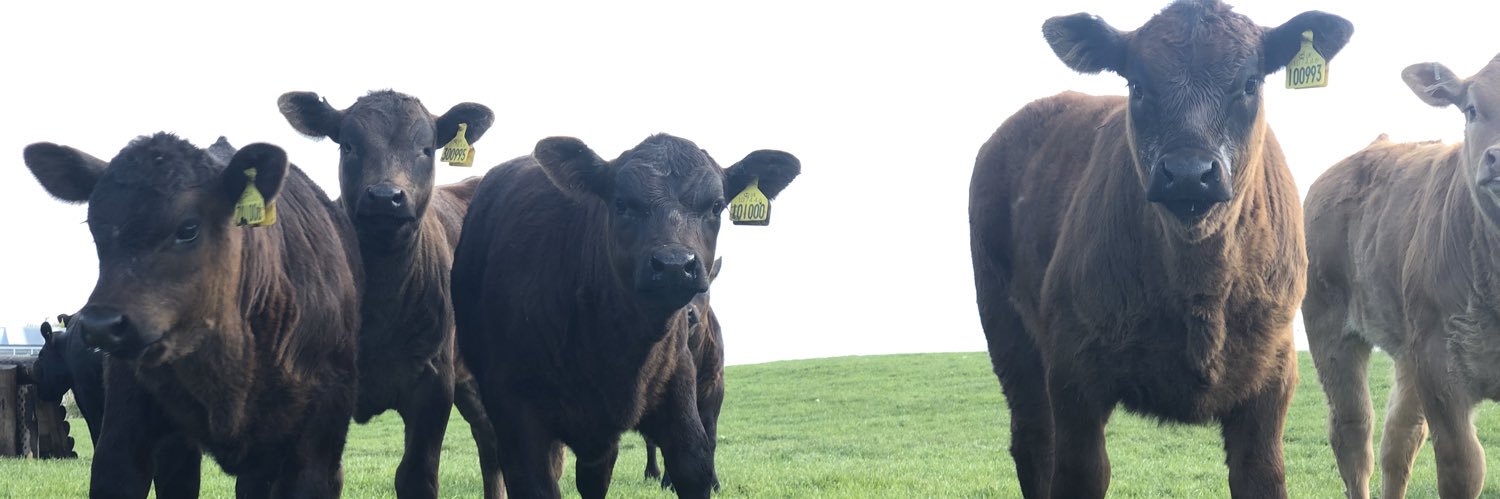 FarmKirkley's profile banner image