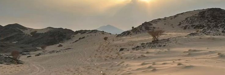 mujahid_mx91's profile banner image