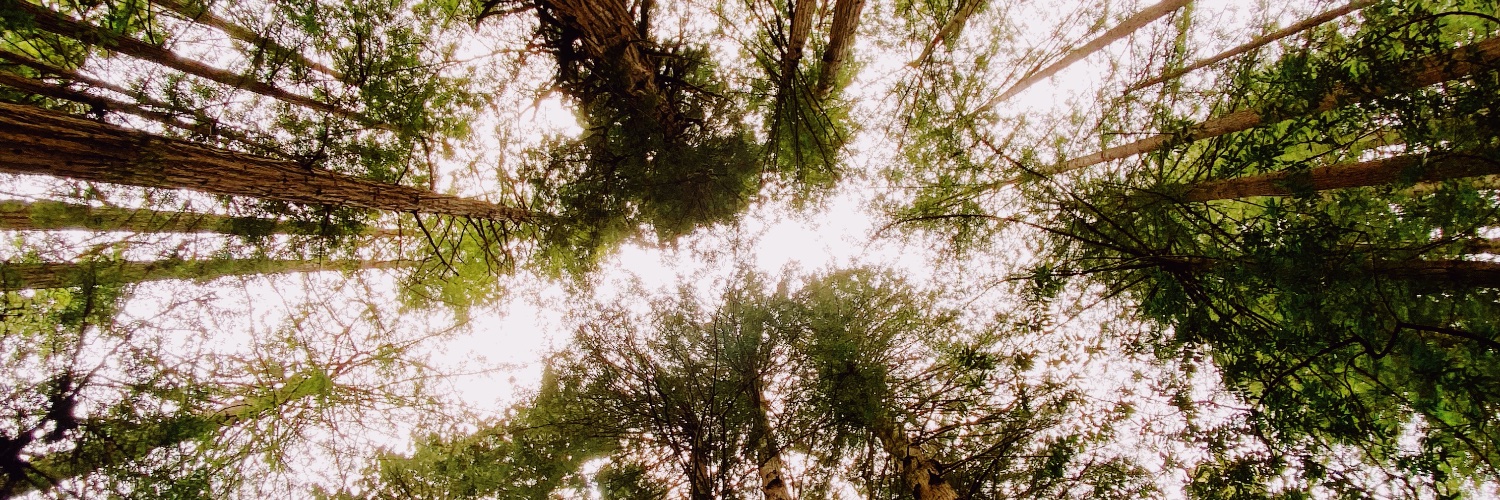 bk_tbh's profile banner image