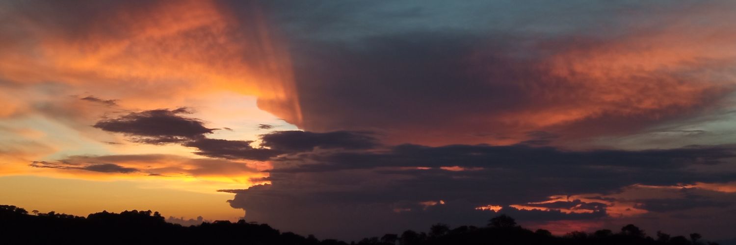 Daniel-X🇸🇻🦖🙅 banner