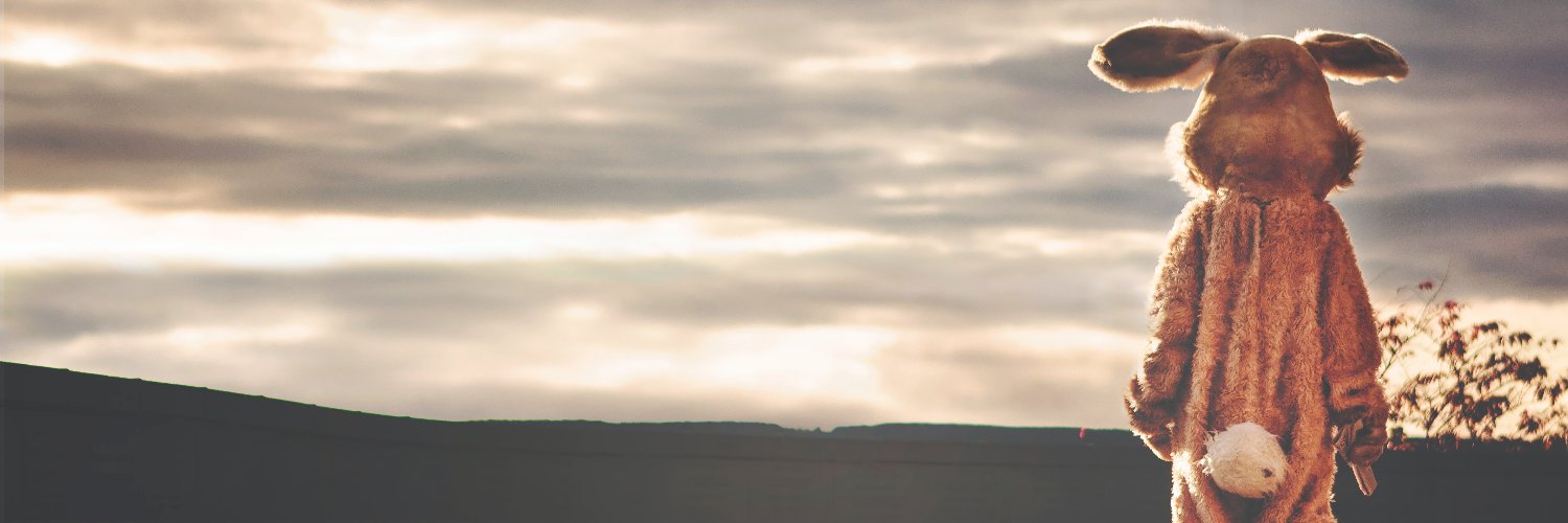 BuckRabbit3's profile banner image