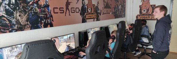 HifMustangs Profile Banner