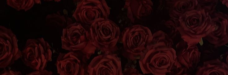 Timekeeper 🕰|| oh sh*t we are not banner