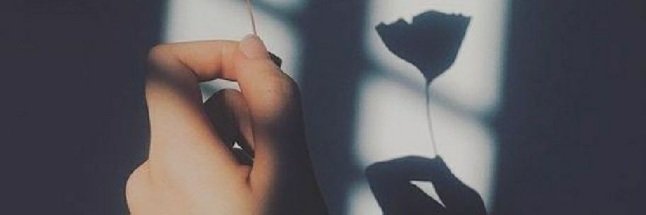 Zarha__13's profile banner image