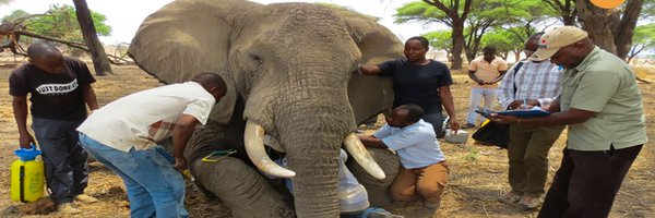 tawiri_tz Profile Banner