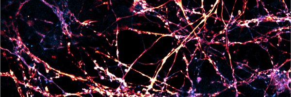 Prosser_Lab Profile Banner