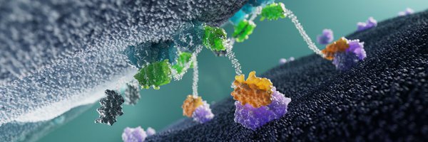 MolecularPrtnrs Profile Banner
