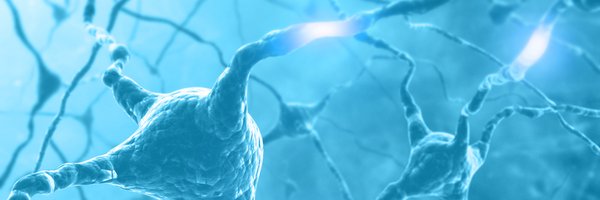 dandrite Profile Banner
