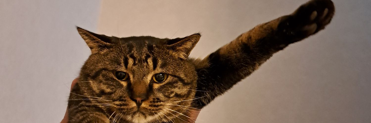 F ﾁｮｯﾊﾟｰ KOGA〈Gacharic Spin／DOLL$BOXX〉 banner