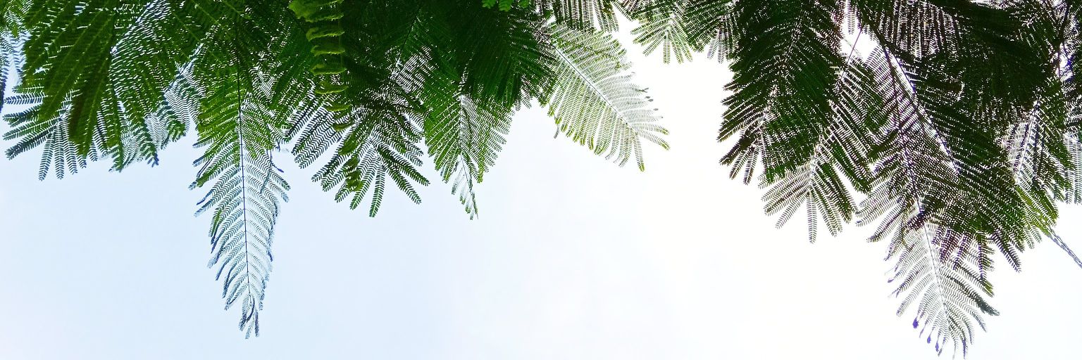Popskyloyd's profile banner image
