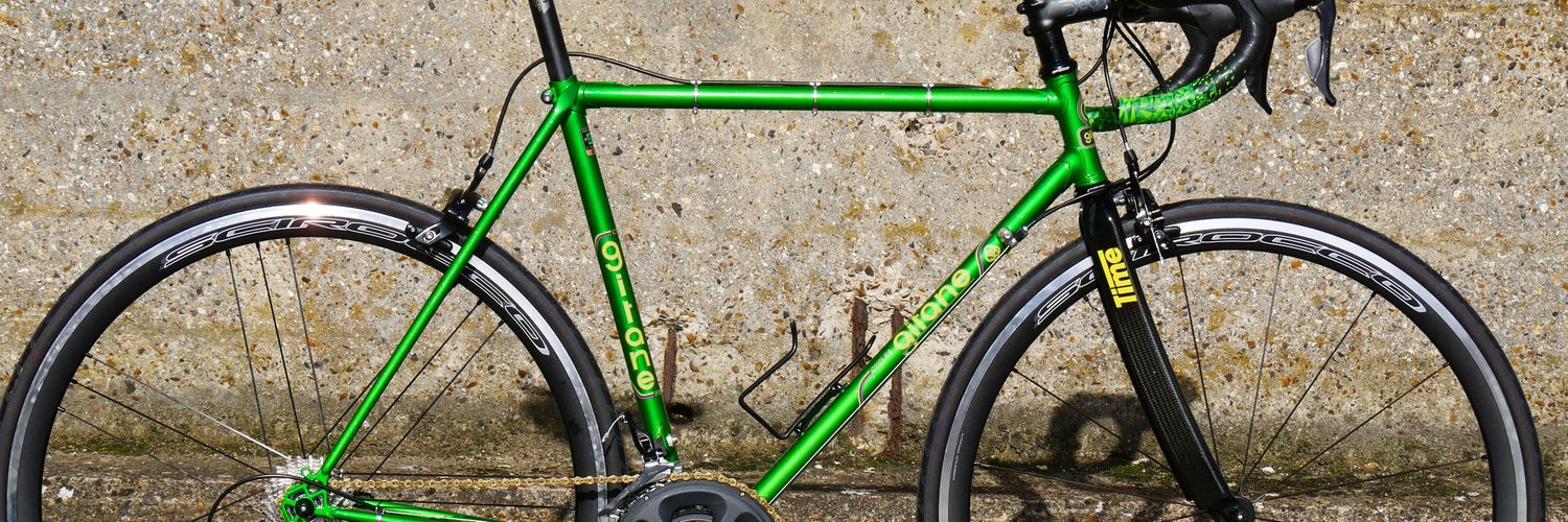 TheBikingBruce banner