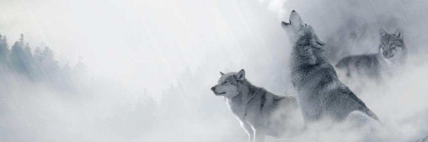 thecuteboy02's profile banner image