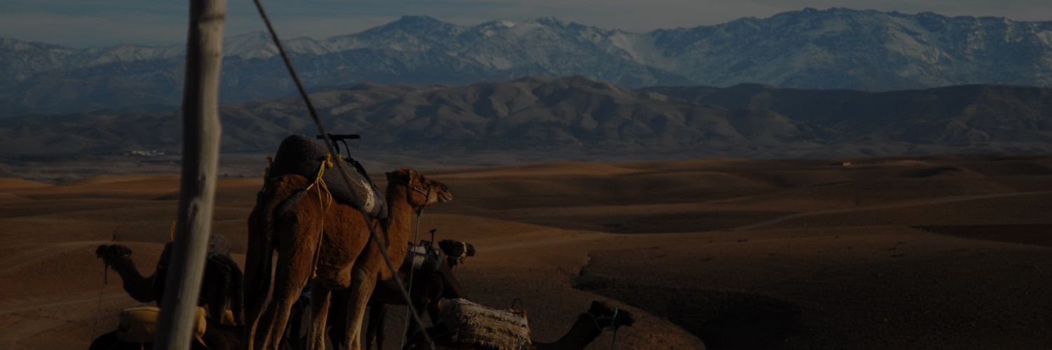 SchravendijkSv's profile banner image