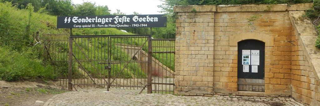 Hammerteeth57 banner