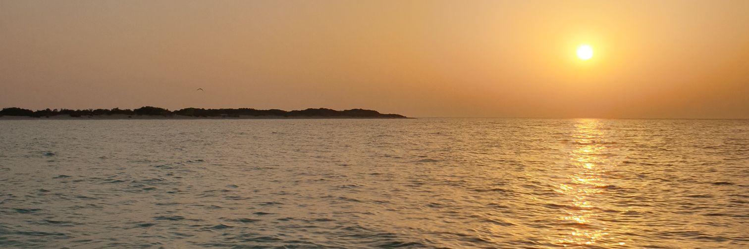 abood7731's profile banner image