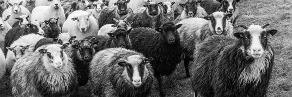 akaarbo Profile Banner