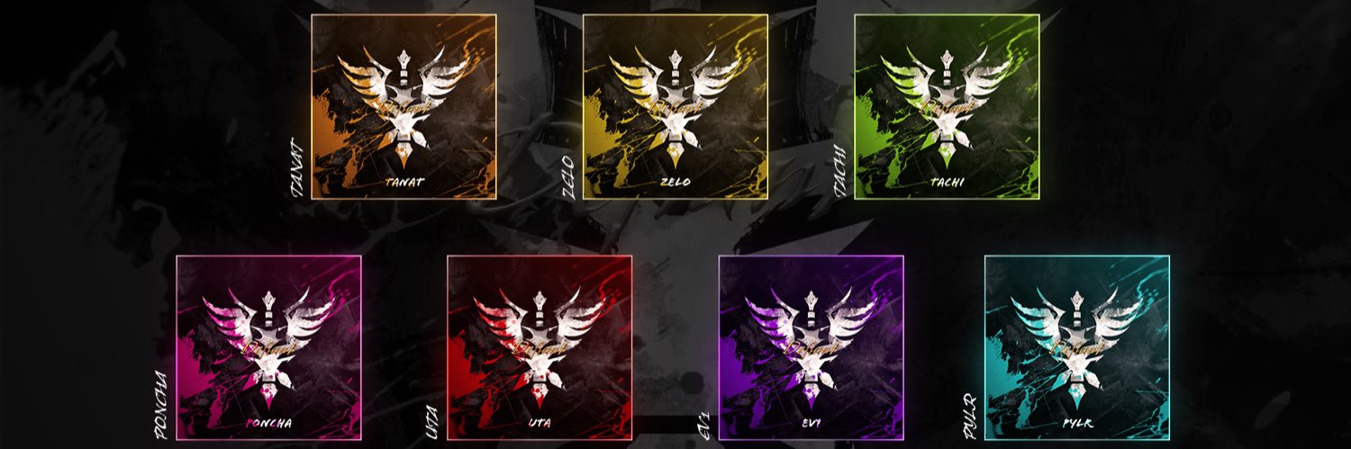 SR Team Defiant banner