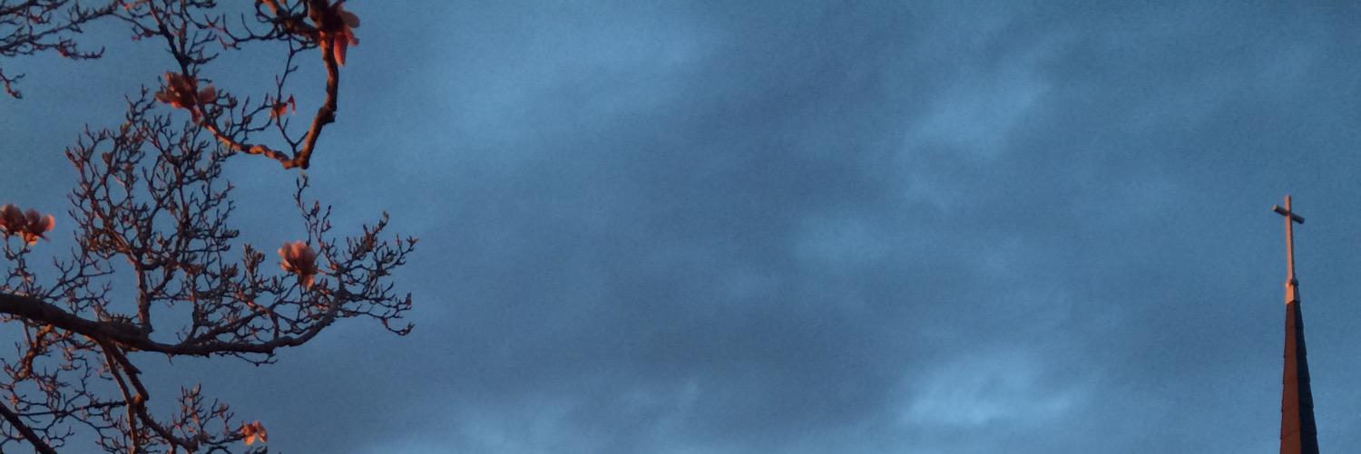 _camjohn_'s profile banner image