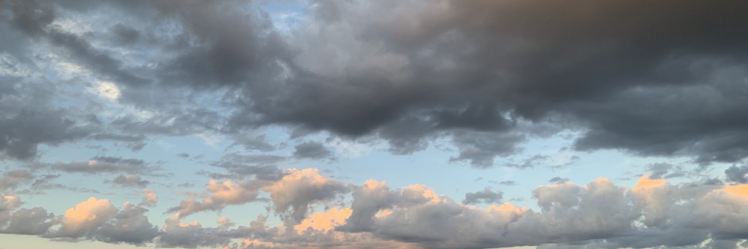 tigerinurtank's profile banner image