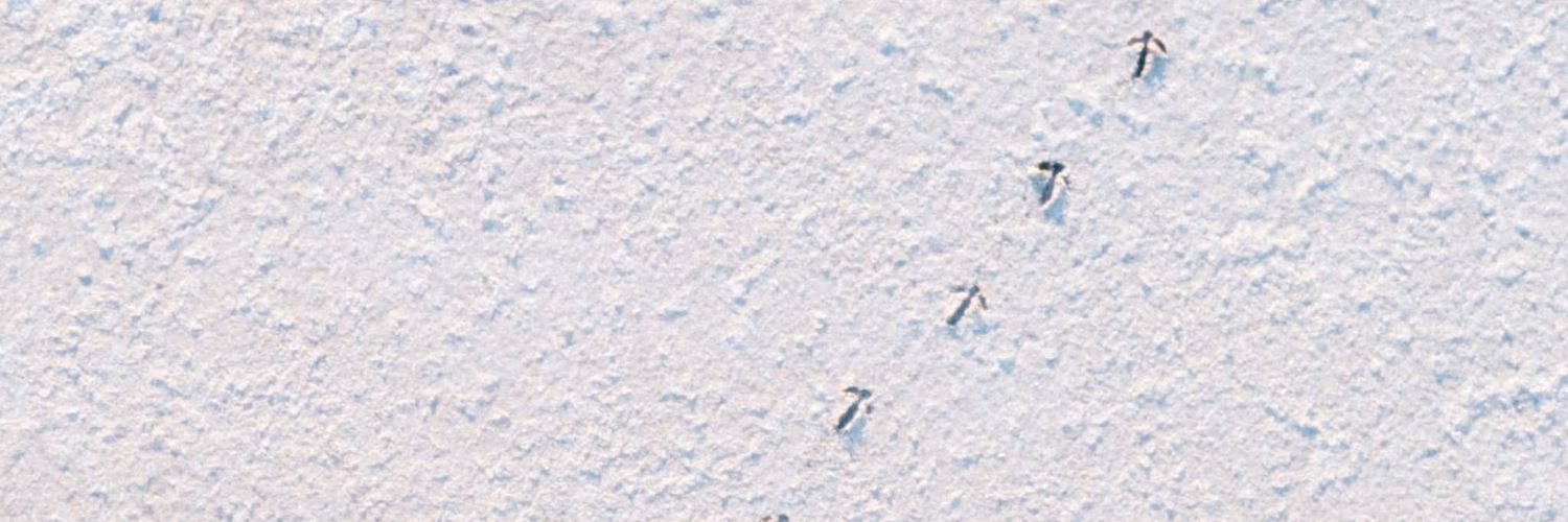 amancalledson's profile banner image