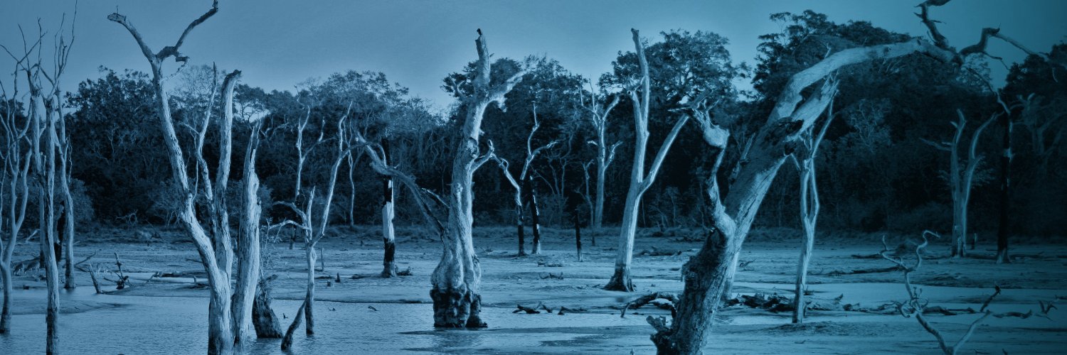 HumanFutureAu's profile banner image