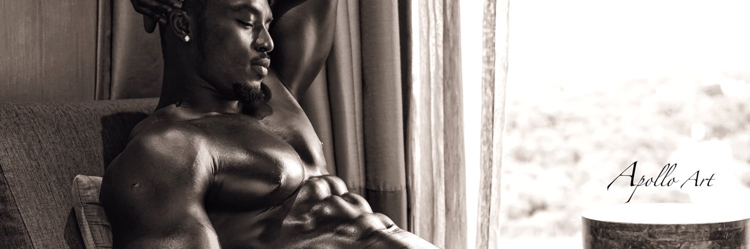 Apollo Art Photography banner