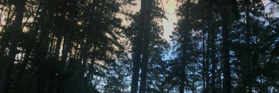 lulyjsr's profile banner image