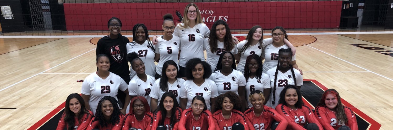 DCHS Volleyball banner