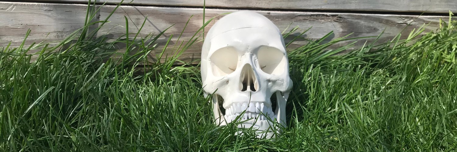ProfIndyBones's profile banner image