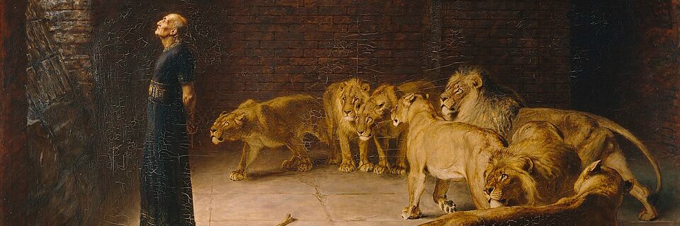 Dr Sharique Manazir banner