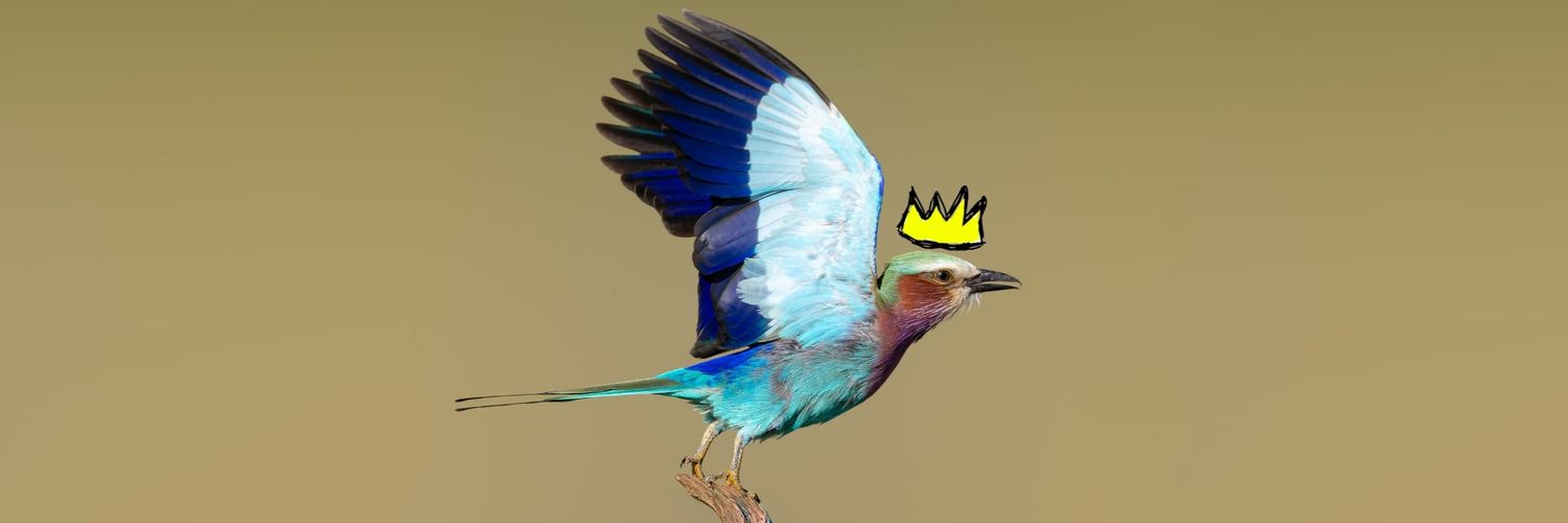 opus_doji's profile banner image