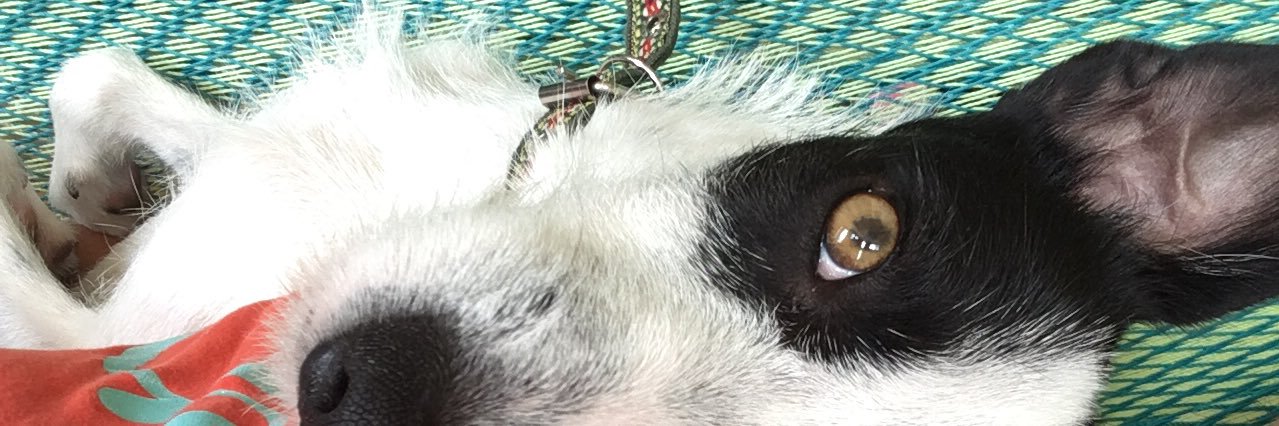 Bipooooo's profile banner image