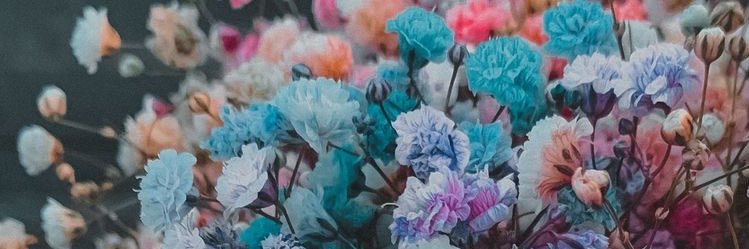 ha_3li_'s profile banner image