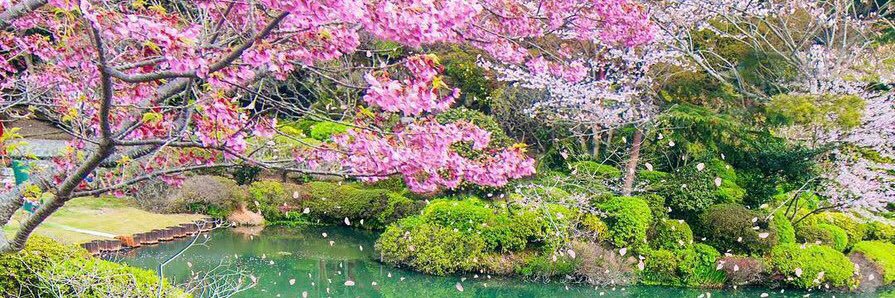 olivia__keat's profile banner image