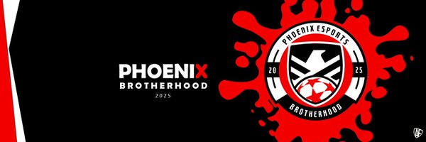 Ph0enix_eSport Profile Banner