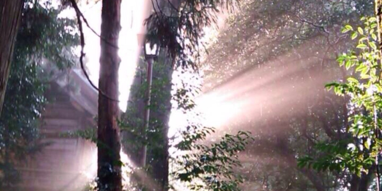 ゆうこ(鯉のぼりの赤5p） banner