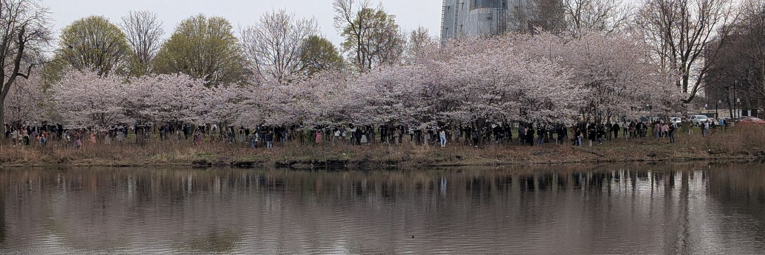 croissant horns 🔞 banner