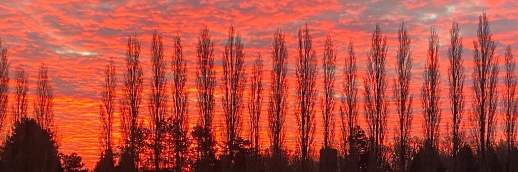 Clare Tamsitt 💙 banner