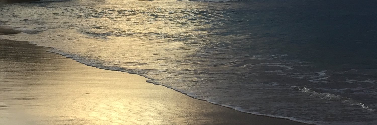 wdycs's profile banner image