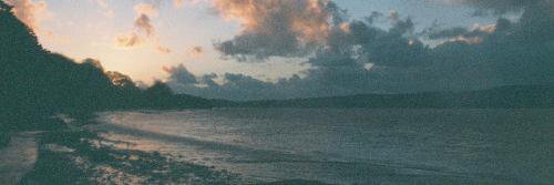 purins banner
