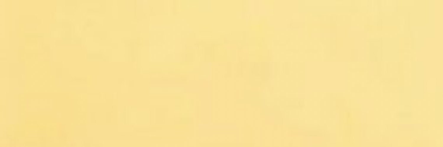 yippeecoded's profile banner image