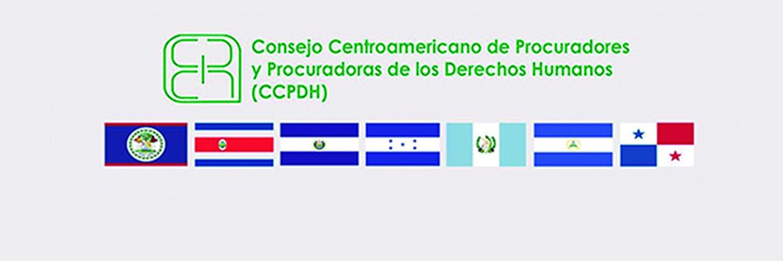 CCPDH1's profile banner image