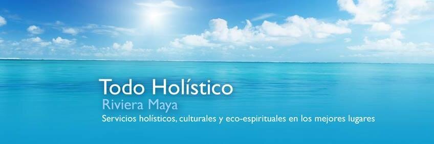 todoholisticorm's profile banner image