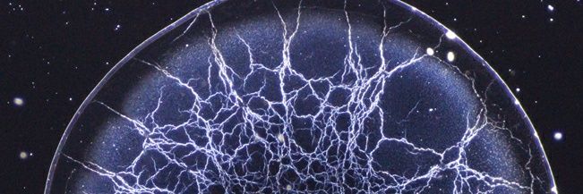 ULmicrofluidics's profile banner image
